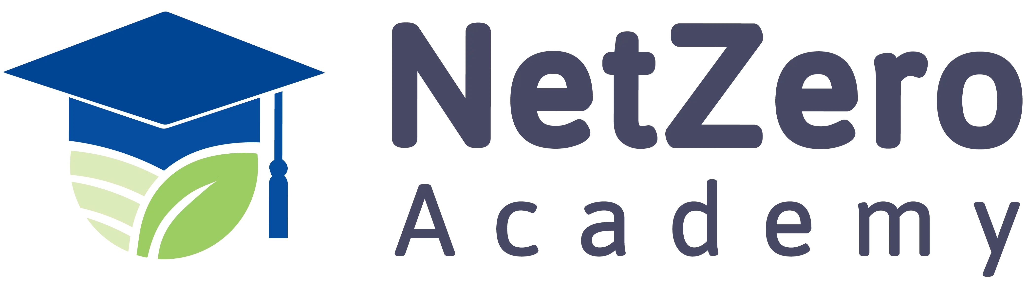Logo: NetZero Academy
